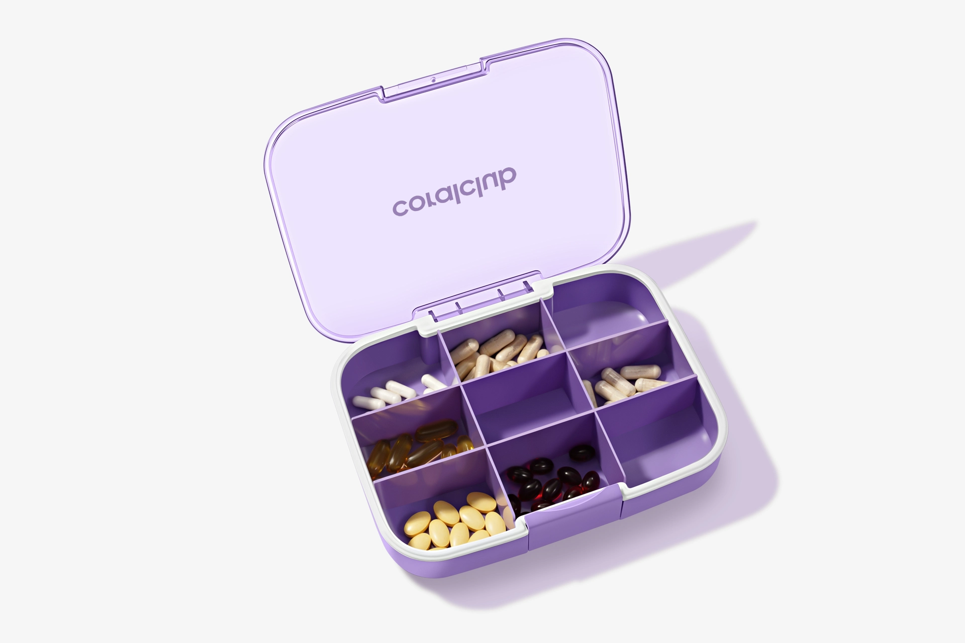 GoBox maxi, lavender